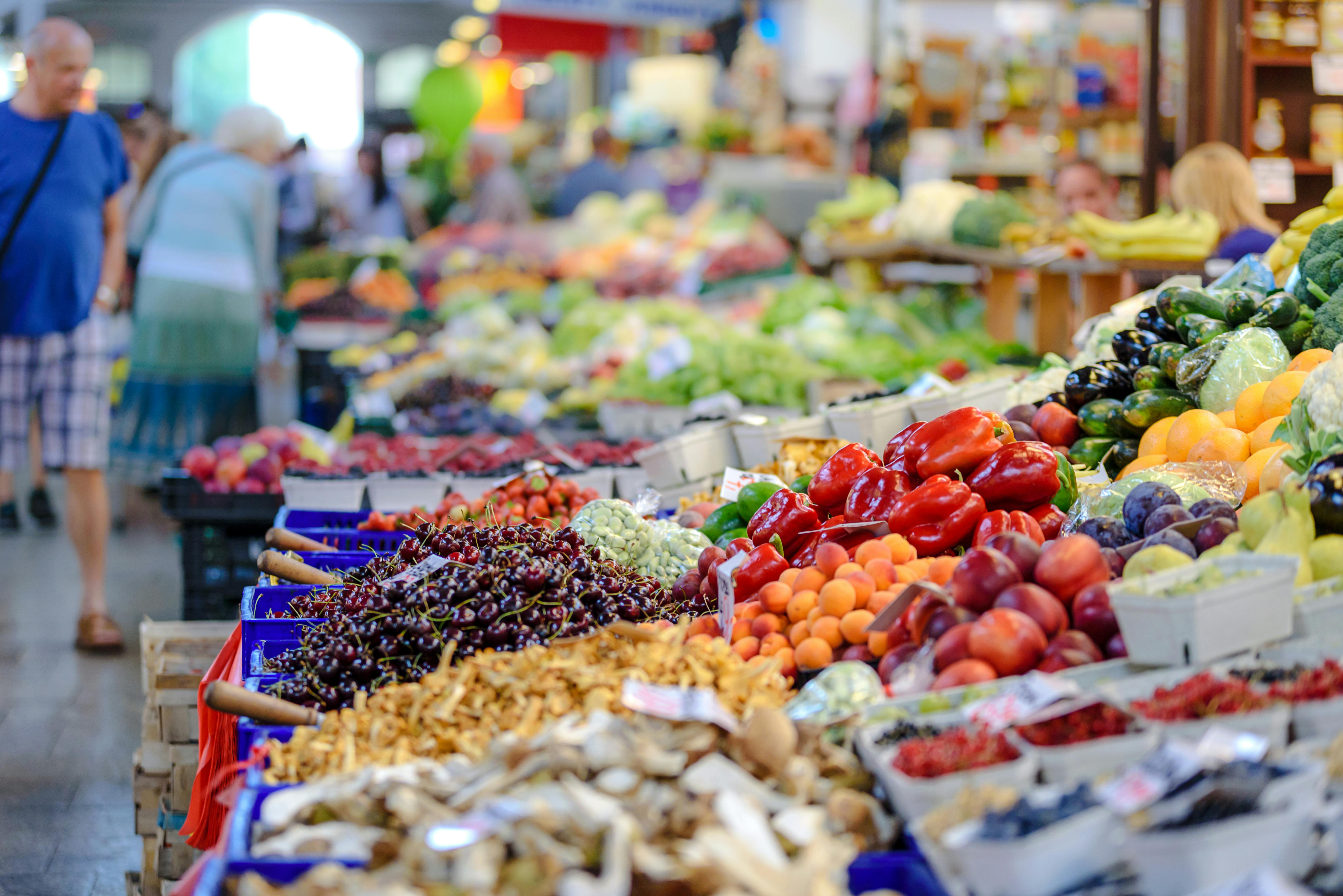 Our suppliers image